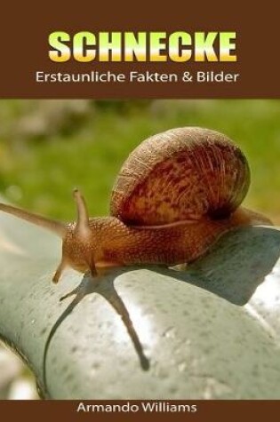 Cover of Schnecke