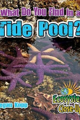 Cover of What Do You Find in a Tide Pool?