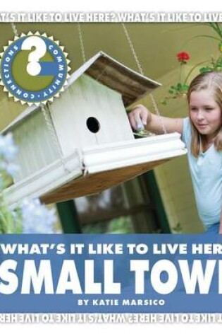 Cover of What's It Like to Live Here? Small Town