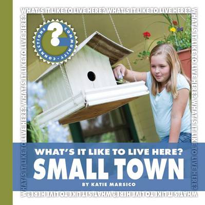 Book cover for What's It Like to Live Here? Small Town