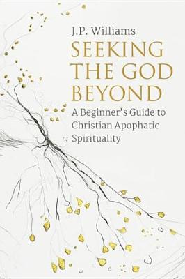 Book cover for Seeking the God Beyond