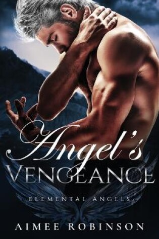 Cover of Angel's Vengeance