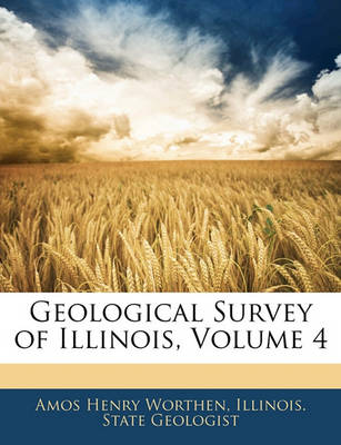 Book cover for Geological Survey of Illinois, Volume 4