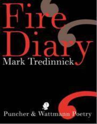 Book cover for Fire Diary