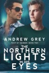 Book cover for The Northern Lights in His Eyes