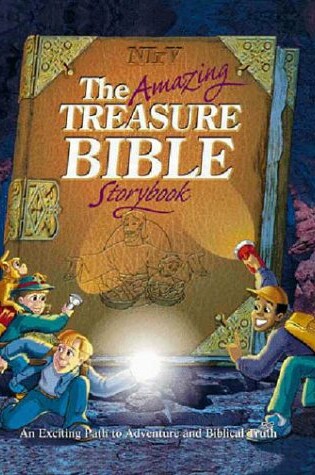 Cover of The Amazing Treasure Bible Storybook