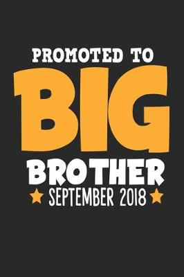 Book cover for Promoted to Big Brother September 2018