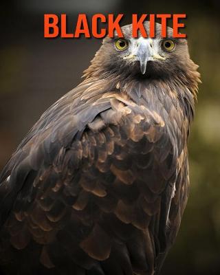 Book cover for Black kite