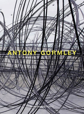 Book cover for Antony Gormley