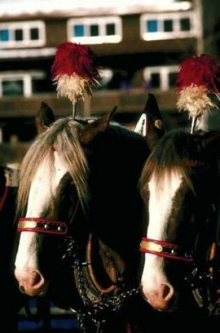 Cover of Equine Journal Draft Horse Tandem