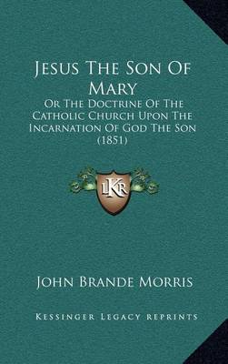 Book cover for Jesus the Son of Mary