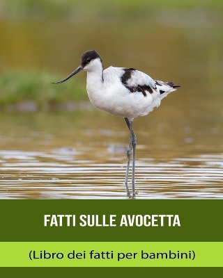 Book cover for Fatti sulle Avocetta (Libro dei fatti per bambini)