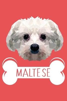 Book cover for Maltese