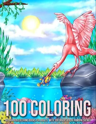 Book cover for 100 Coloring