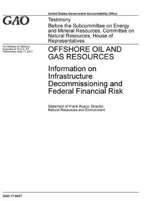 Book cover for Offshore Oil and Gas Resources