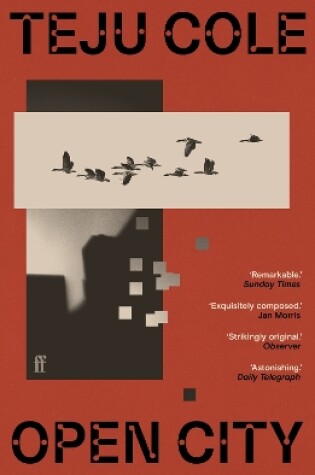 Cover of Open City