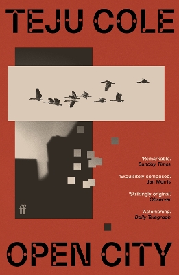 Book cover for Open City