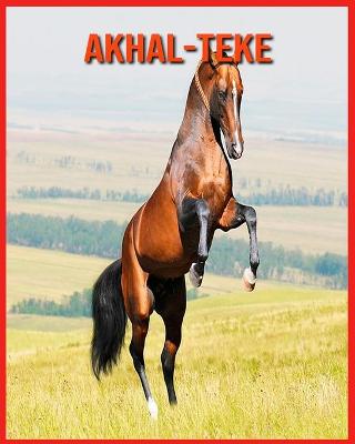 Book cover for Akhal-Teke