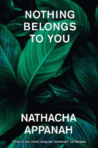 Cover of Nothing Belongs to You