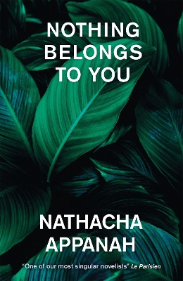 Book cover for Nothing Belongs to You