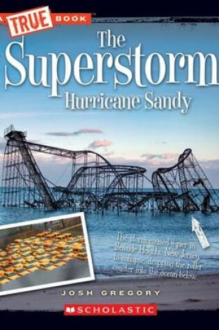Cover of The Superstorm Hurricane Sandy