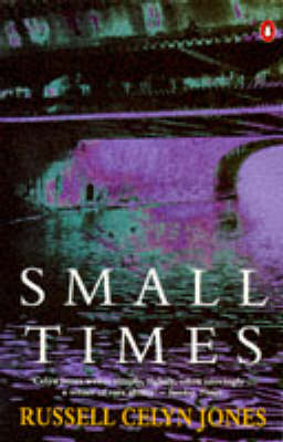 Book cover for Small Times