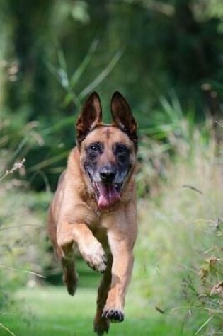 Cover of Belgian Shepherd Dog Malinois Running on the Path Journal