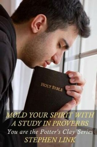 Cover of Mold Your Spirit with a Study in Proverbs