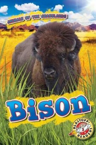 Cover of Bison