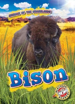 Book cover for Bison