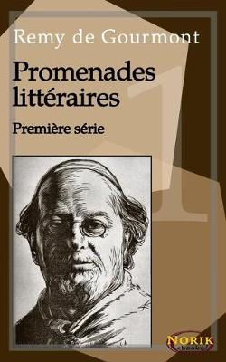 Book cover for Promenades litteraires. Premiere serie