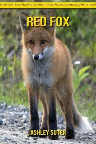 Cover of Red Fox
