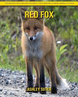 Book cover for Red Fox