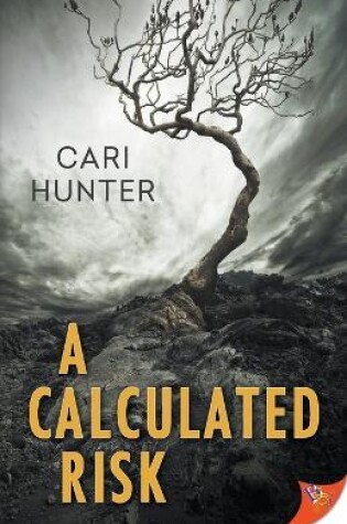 Cover of A Calculated Risk