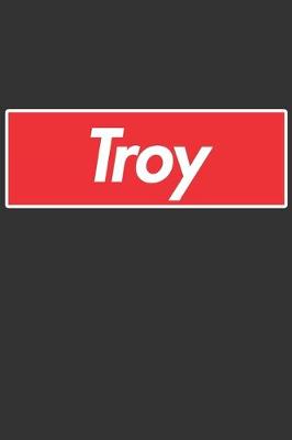 Book cover for Troy