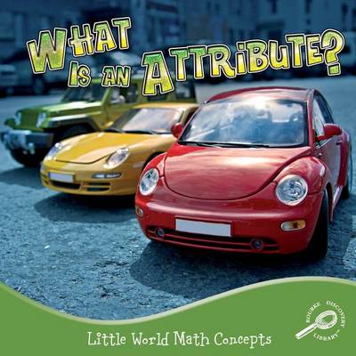 Book cover for What Is an Attribute?