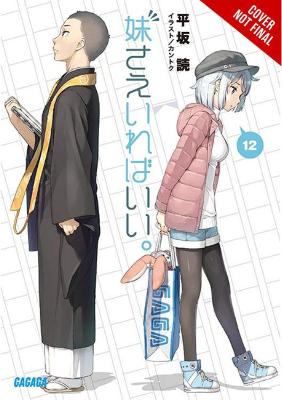 Book cover for A Sister's All You Need., Vol. 12 (light novel)