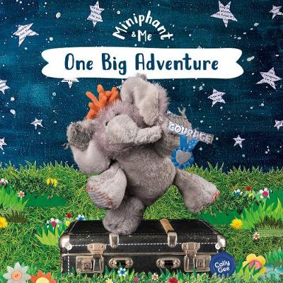 Cover of One Big Adventure