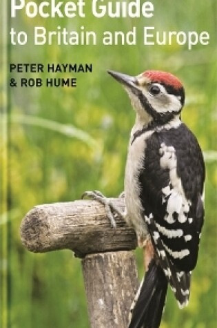 Cover of The Birdwatcher's Pocket Guide to Britain and Europe