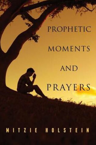 Cover of Prophetic Moments and Prayers