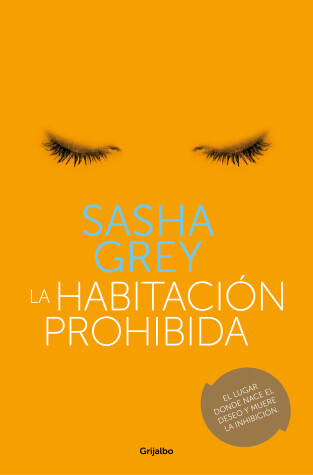 Cover of La habitación prohibida /The Janus Chamber