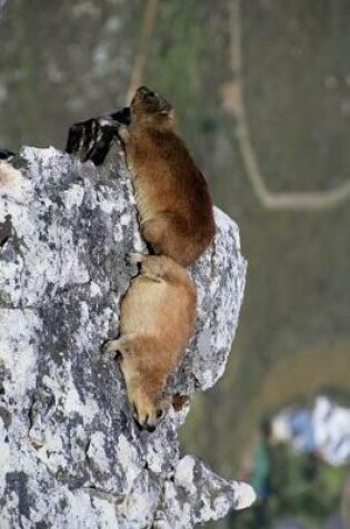 Cover of Cute Pair of Procavia Capensis Cape Hyrax Sunning on a Rock Cliff Journal