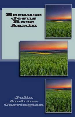 Book cover for Because Jesus Rose Again