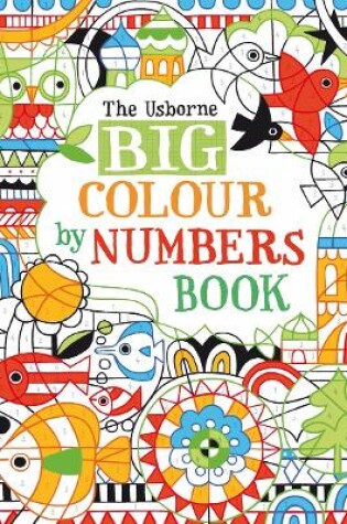 Cover of Big Colour by Numbers Book