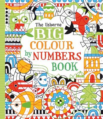 Book cover for Big Colour by Numbers Book