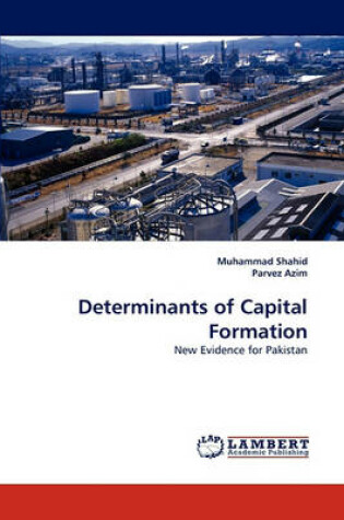 Cover of Determinants of Capital Formation