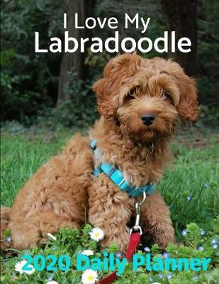 Cover of I Love My Labradoodle