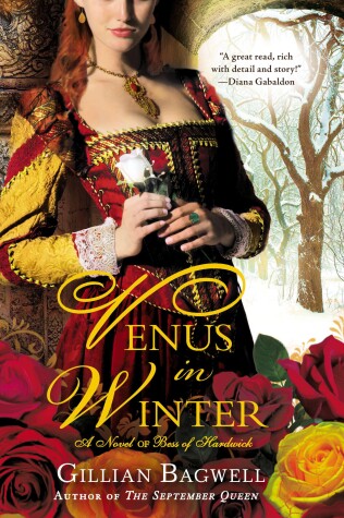 Book cover for Venus in Winter