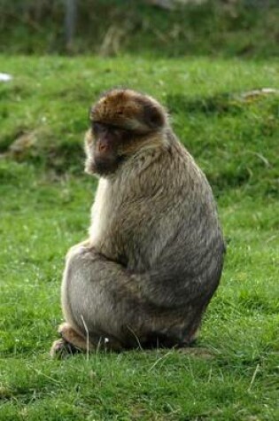 Cover of A Barbary Ape Relaxing in the Grass, for the Love of Animals