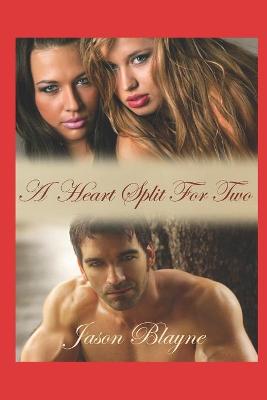 Book cover for A Heart Split For Two